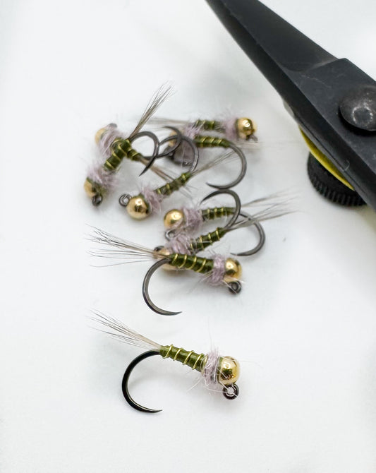 TB Jiggy Thread Frenchie Olive