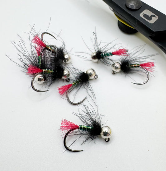 TB Nygren's CDC Black Peacock