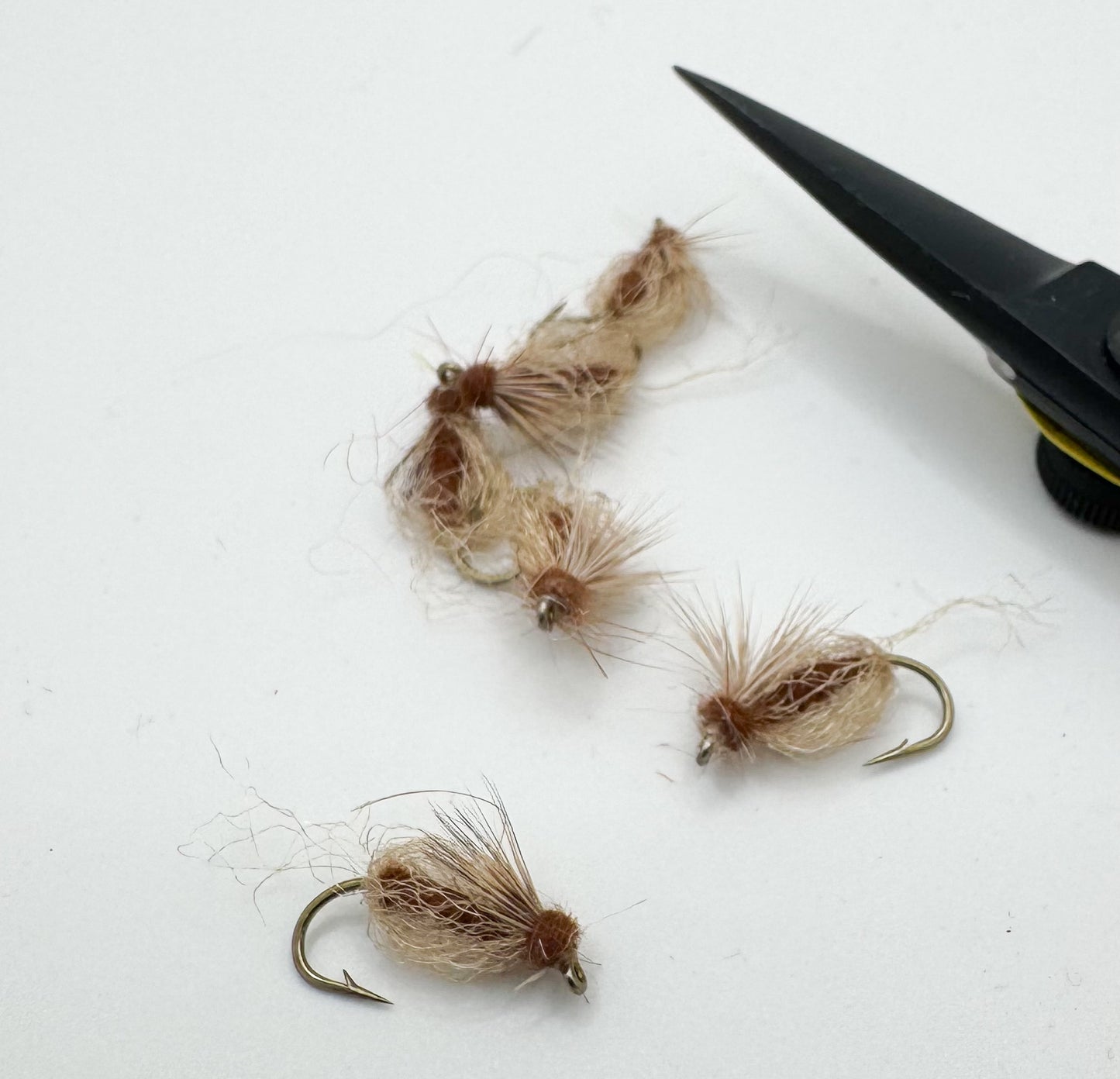 Emergent Sparkle Pupa Brown