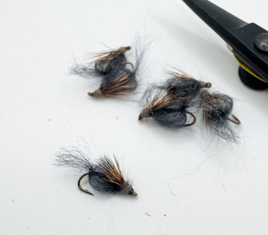 Emergent Sparkle Pupa Dark Gray