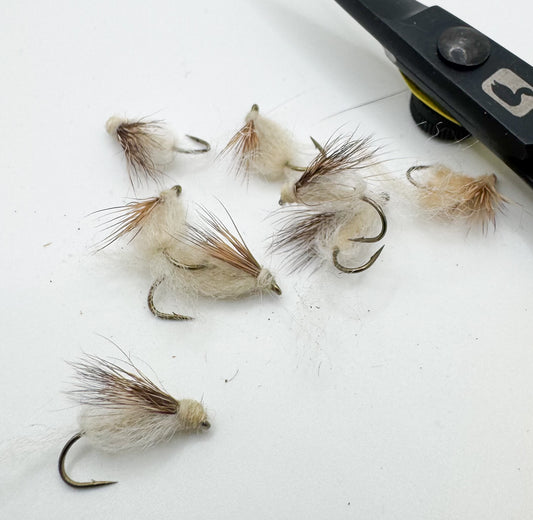 Emergent Sparkle Pupa Ginger