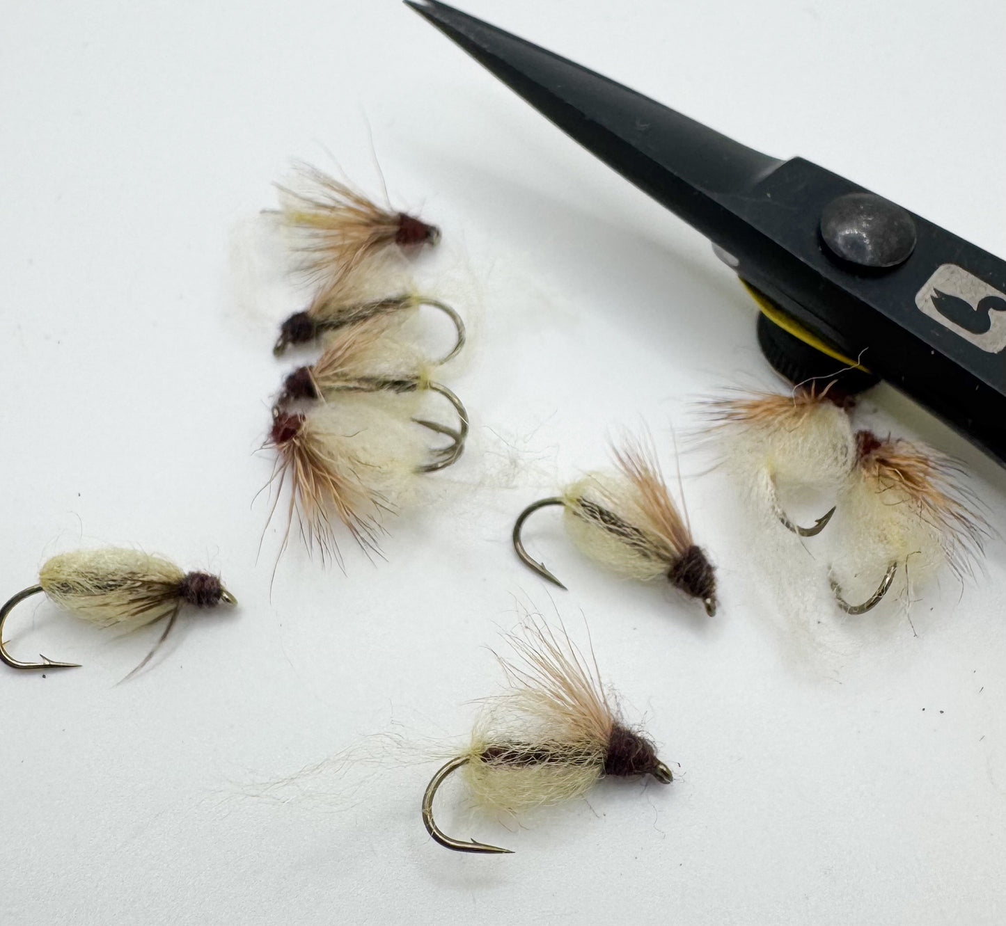 Emergent Sparkle Pupa Yellow/Brown