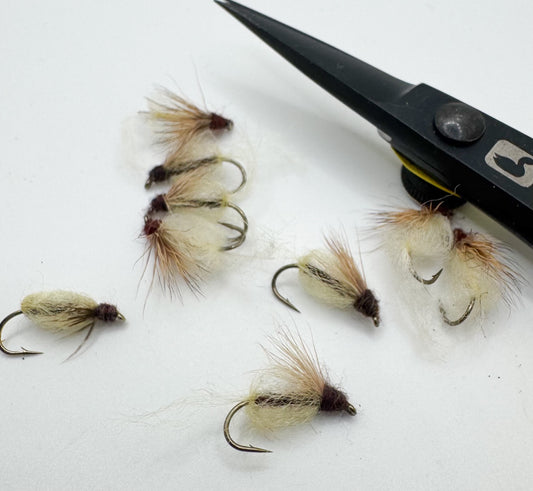 Emergent Sparkle Pupa Yellow/Brown