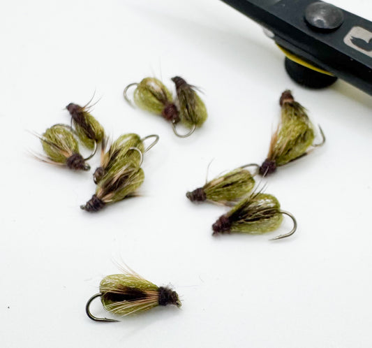 Emergent Sparkle Pupa Green