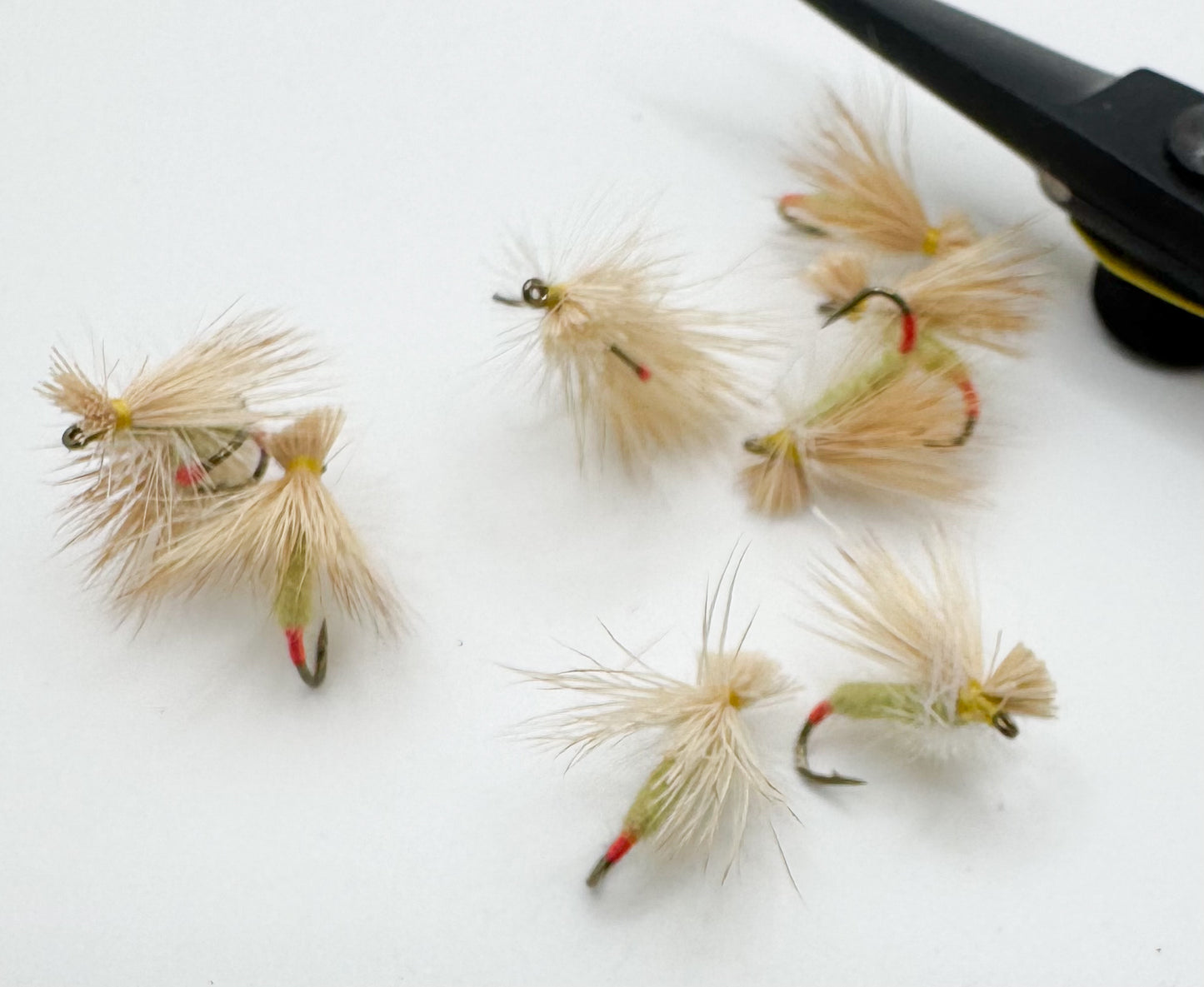 Hairwing Yellow Sally