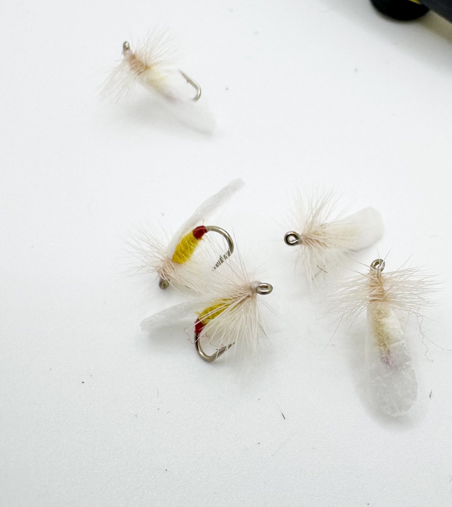 Yellow Sally Red Tag