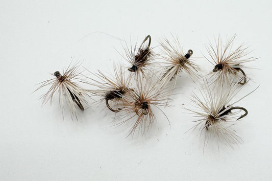 Peacock Caddis