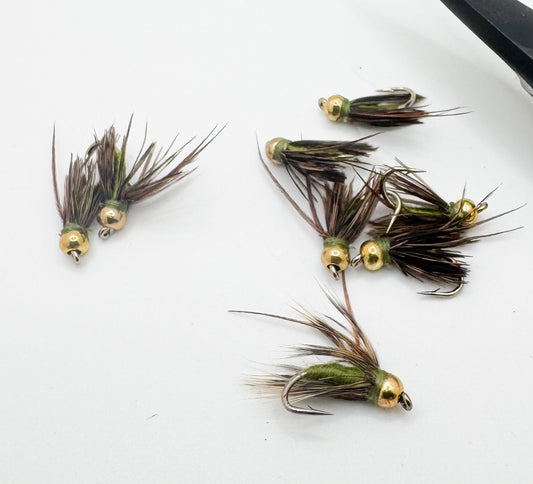 BH Caddis Pupa Olive