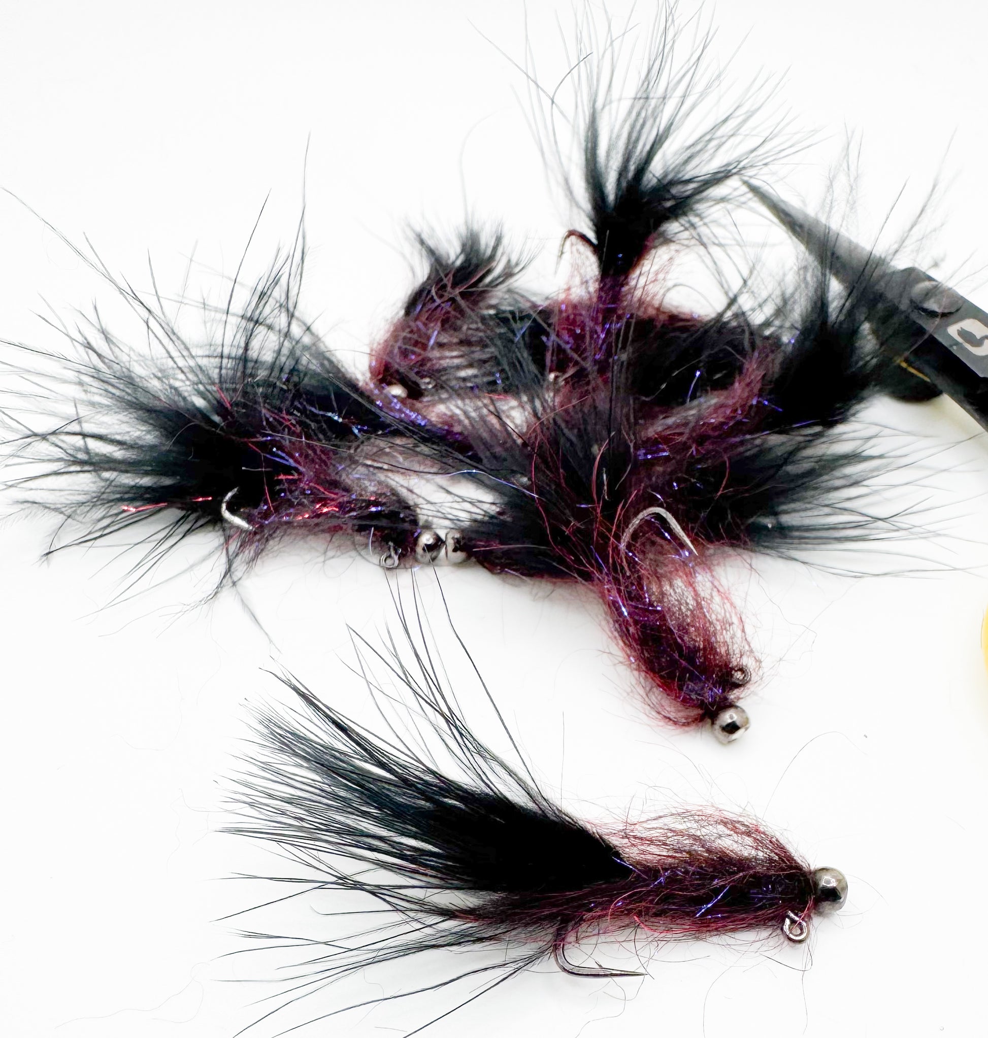 Balanced Leech Blackberry
