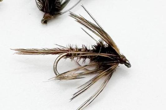 Soft Hackle Pheasant Tail