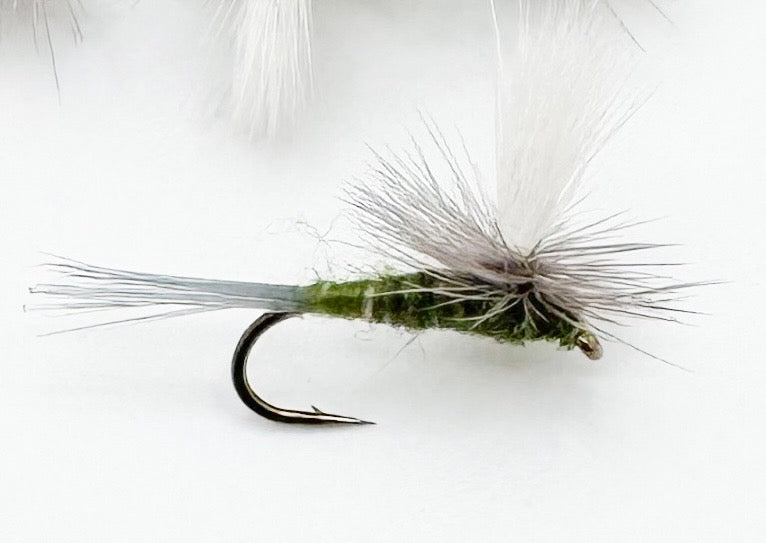Parachute BWO