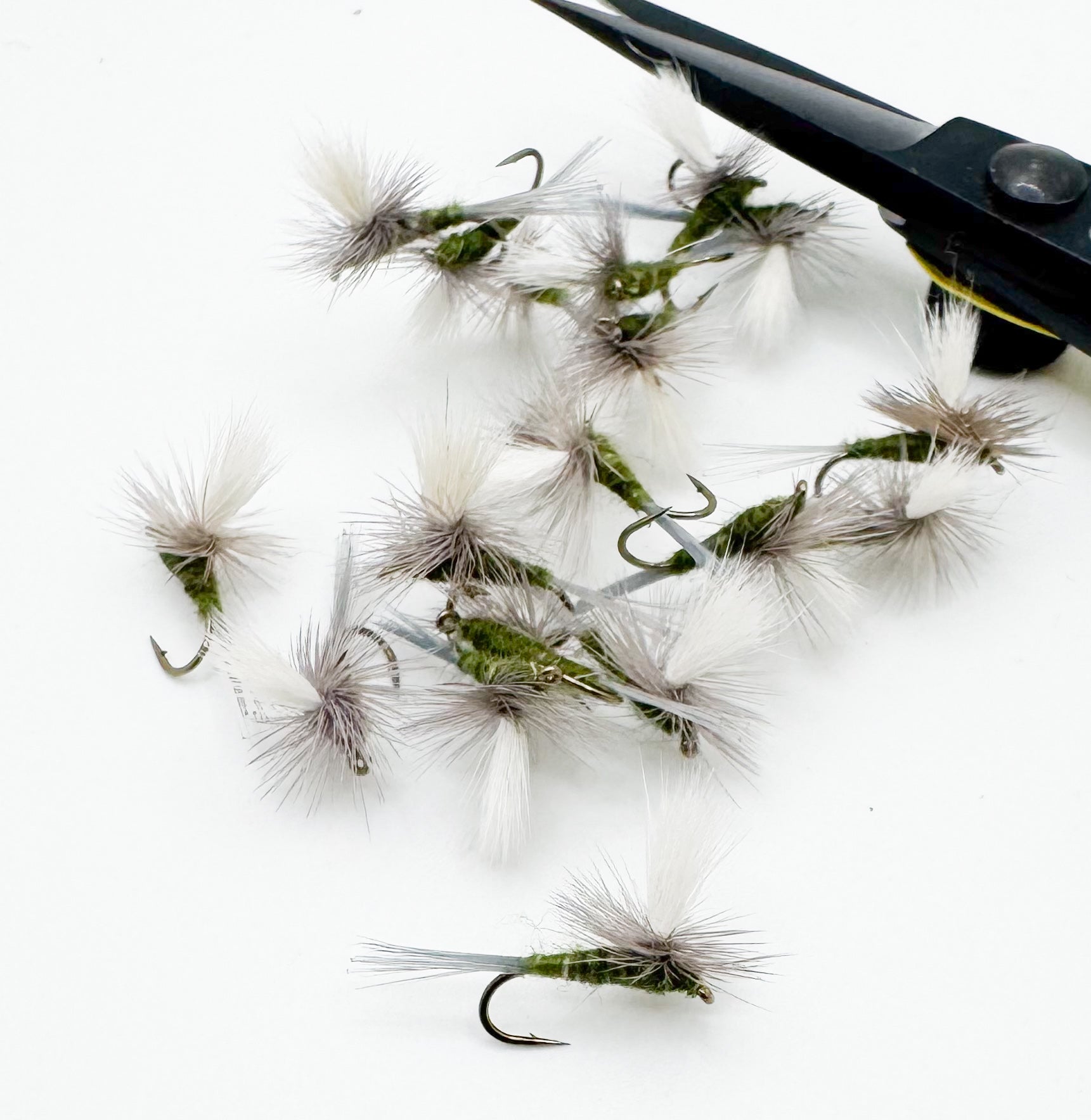 Parachute BWO