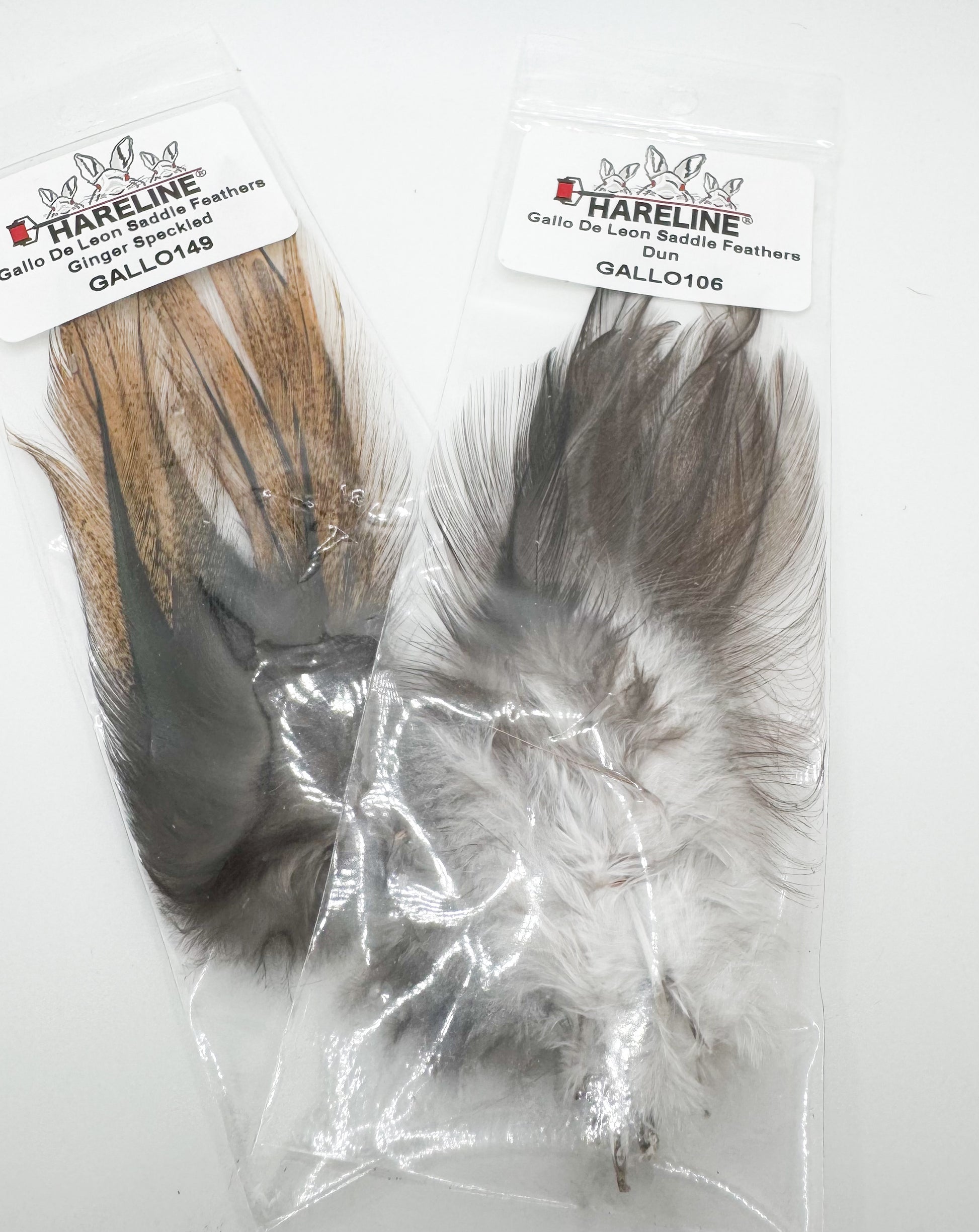 Gallo De Leon Saddle Feathers CDL