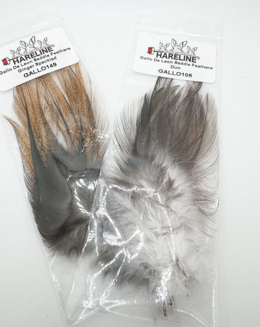 Gallo De Leon Saddle Feathers CDL