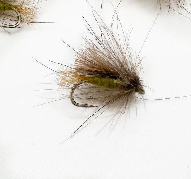 Corn Fed Caddis (CDC) Olive