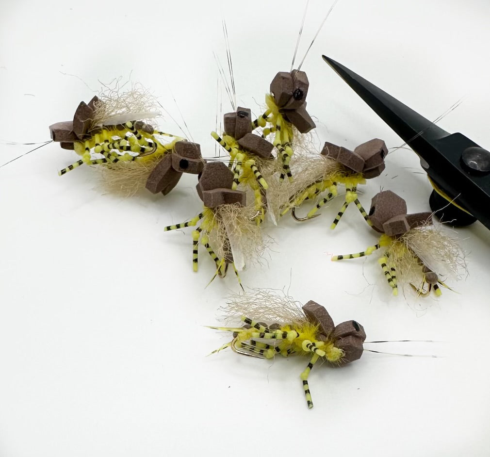 Larsons Golden Stonefly