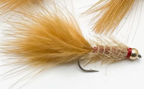 Golden Retriever – North Country Fly Shop