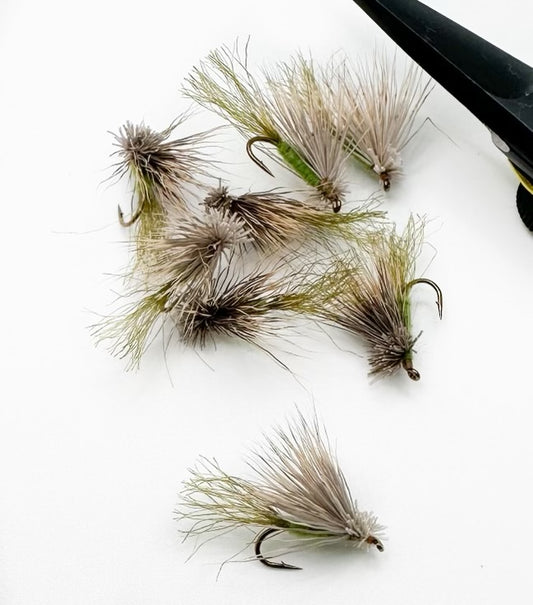 Olive x Caddis