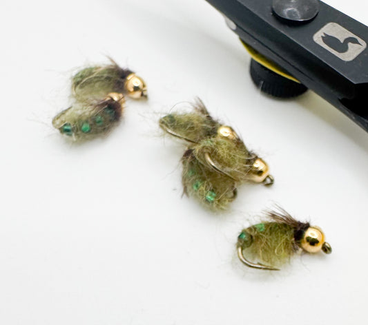 Pulsating Caddis GB Olive
