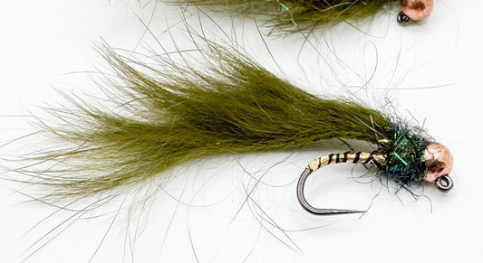Olive Mini Bunny Leech