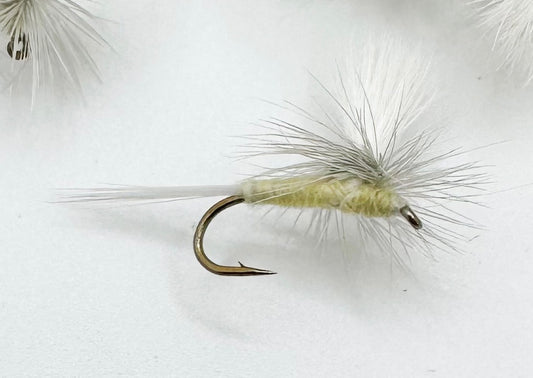 Parachute PMD