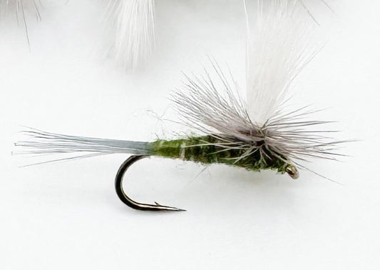 Parachute BWO