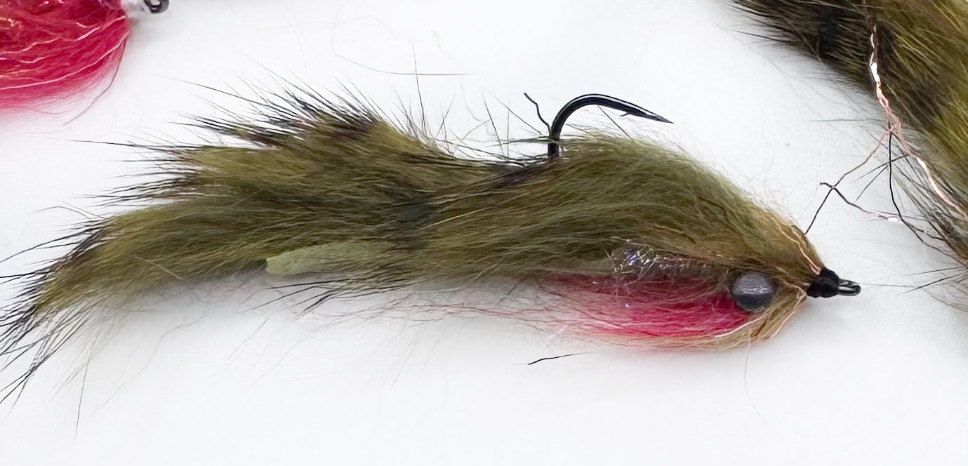 Versastile Minnow-Barred Olive