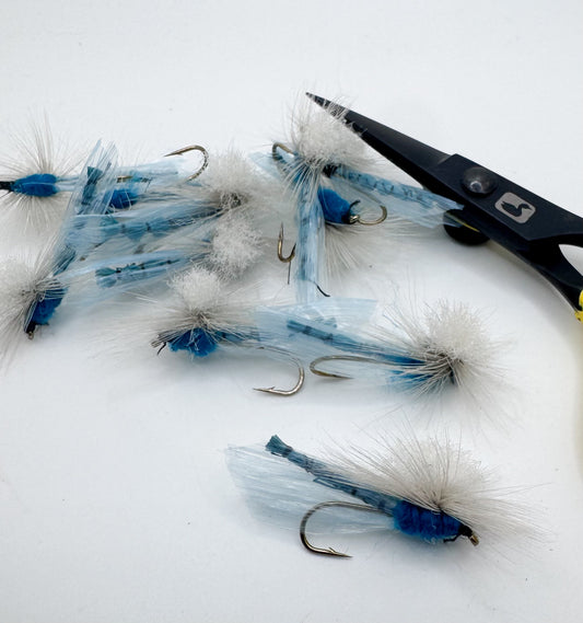Parachute Damsel Blue