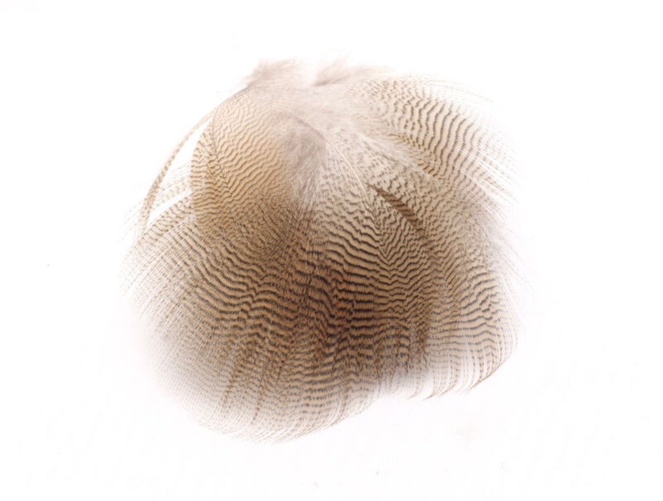 Lemon Woodduck Feathers
