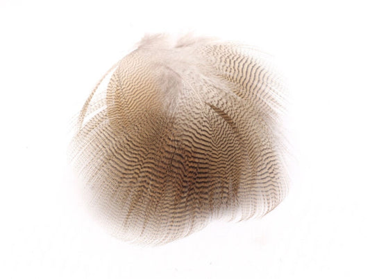 Lemon Woodduck Feathers