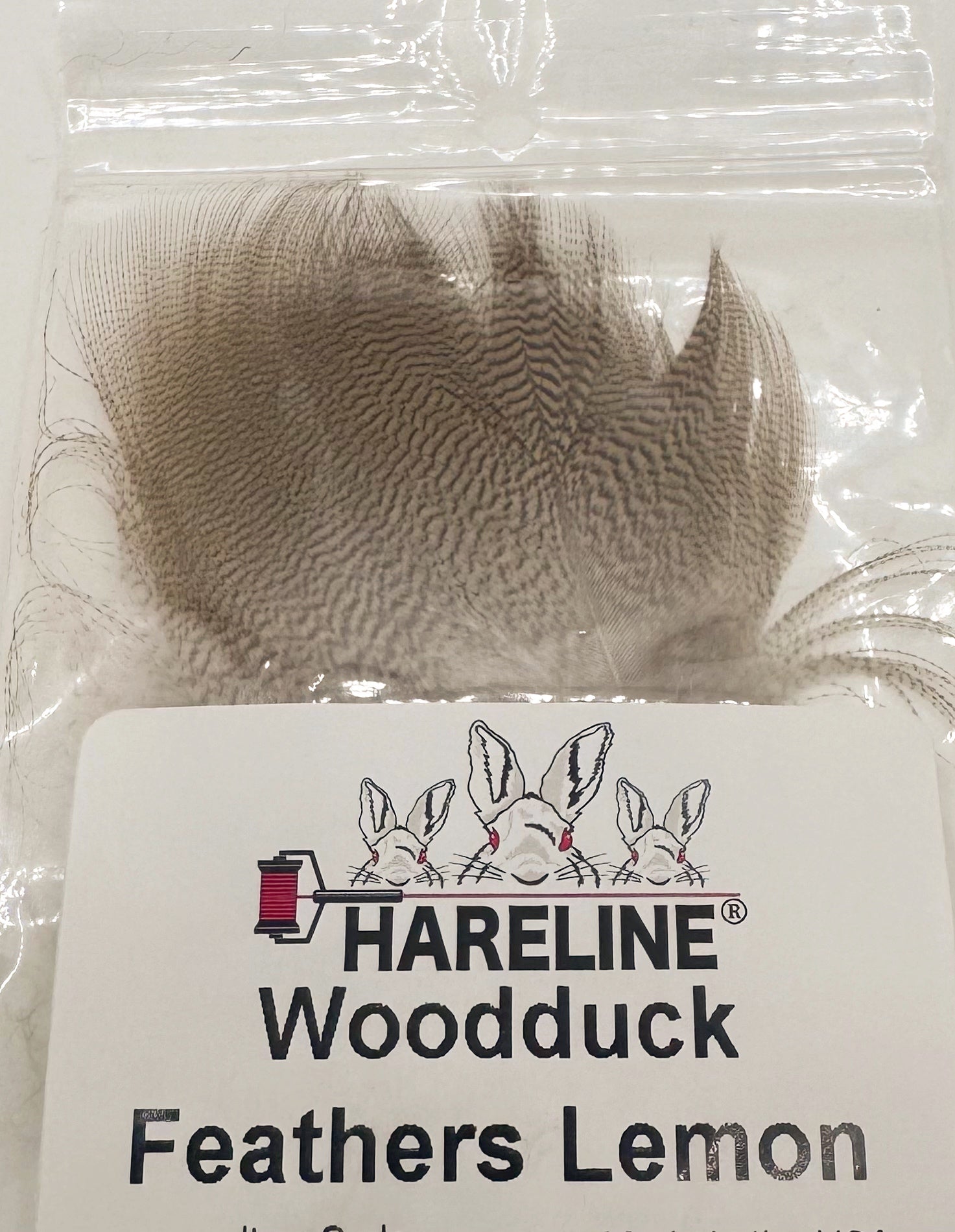 Lemon Woodduck Feathers