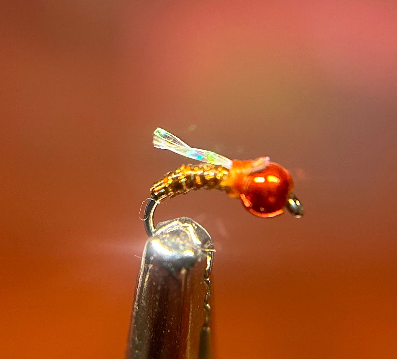 Tufted Flash Midge Orange