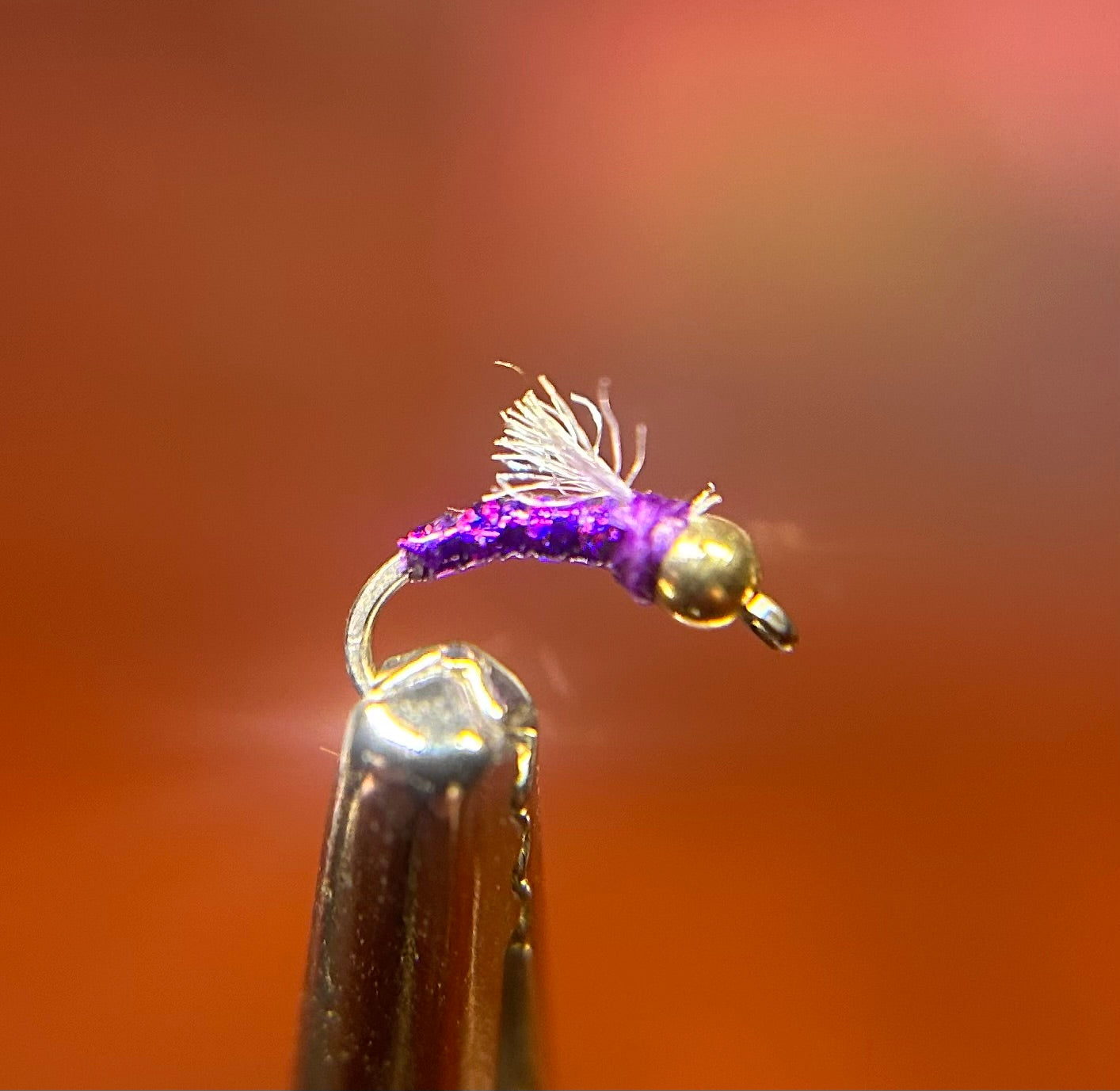 Tufted Flash Midge Purple