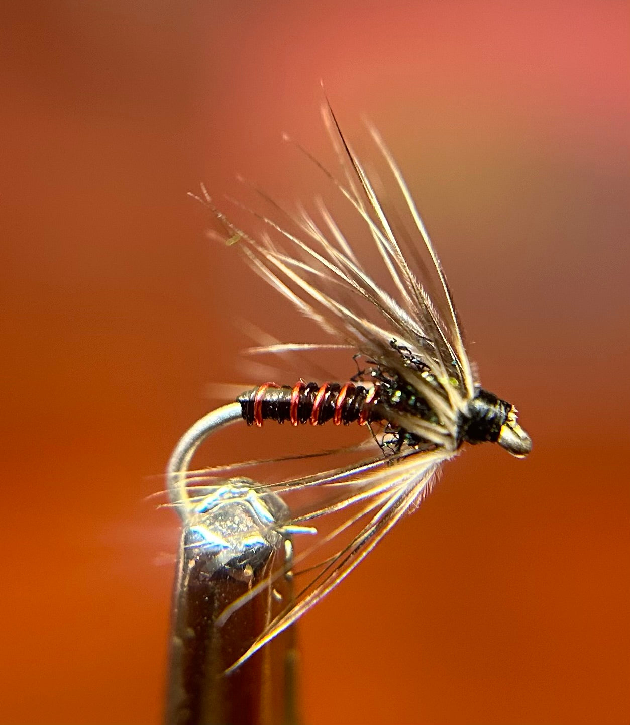 Red & Black Wet Fly