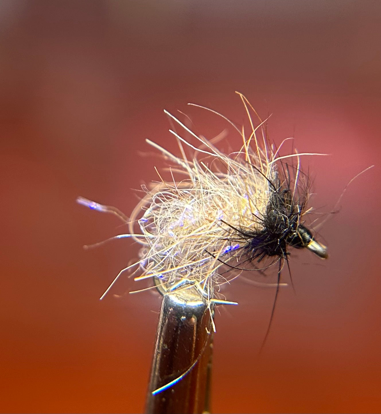 UV Caddis Pupa Tan