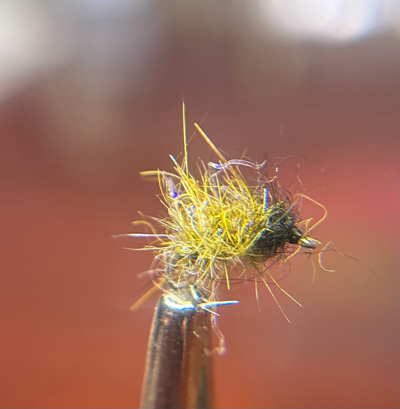 UV Caddis Pupa Olive